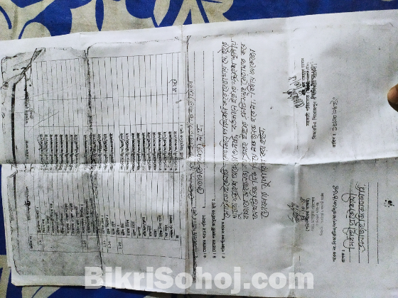 Honda super cub 1995